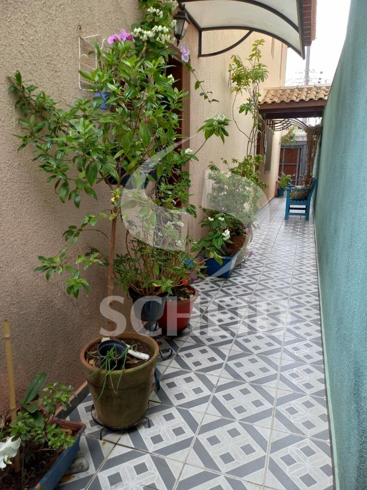 Foto 24