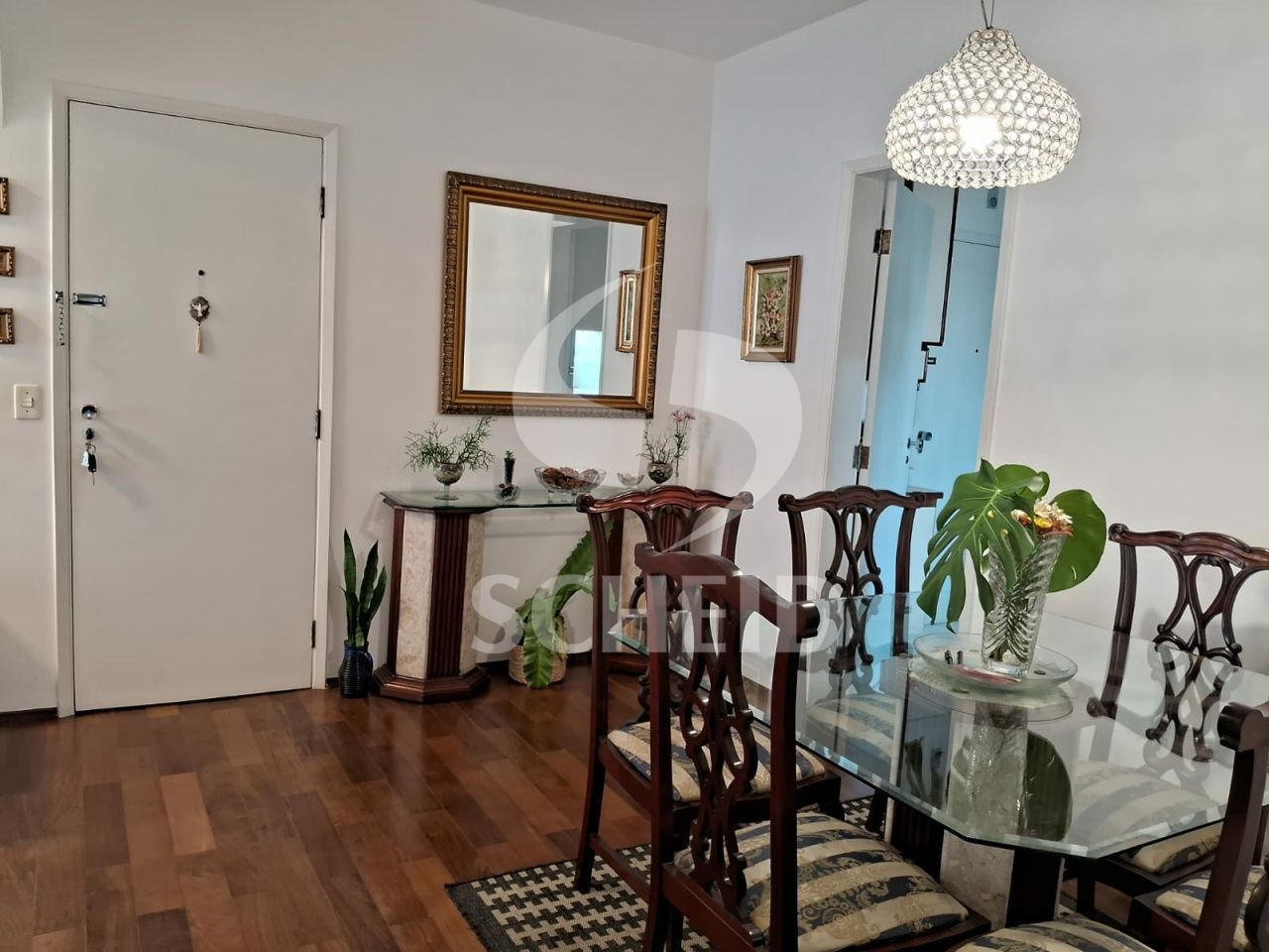 Foto 21