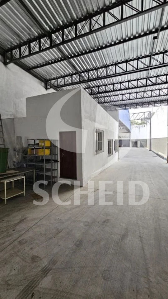 Foto 12