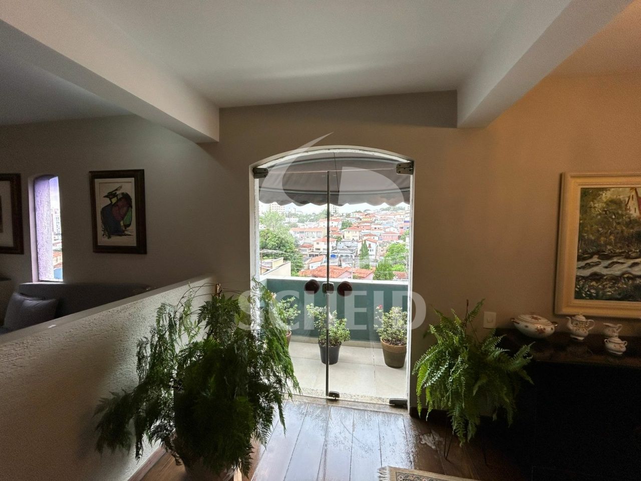Foto 24