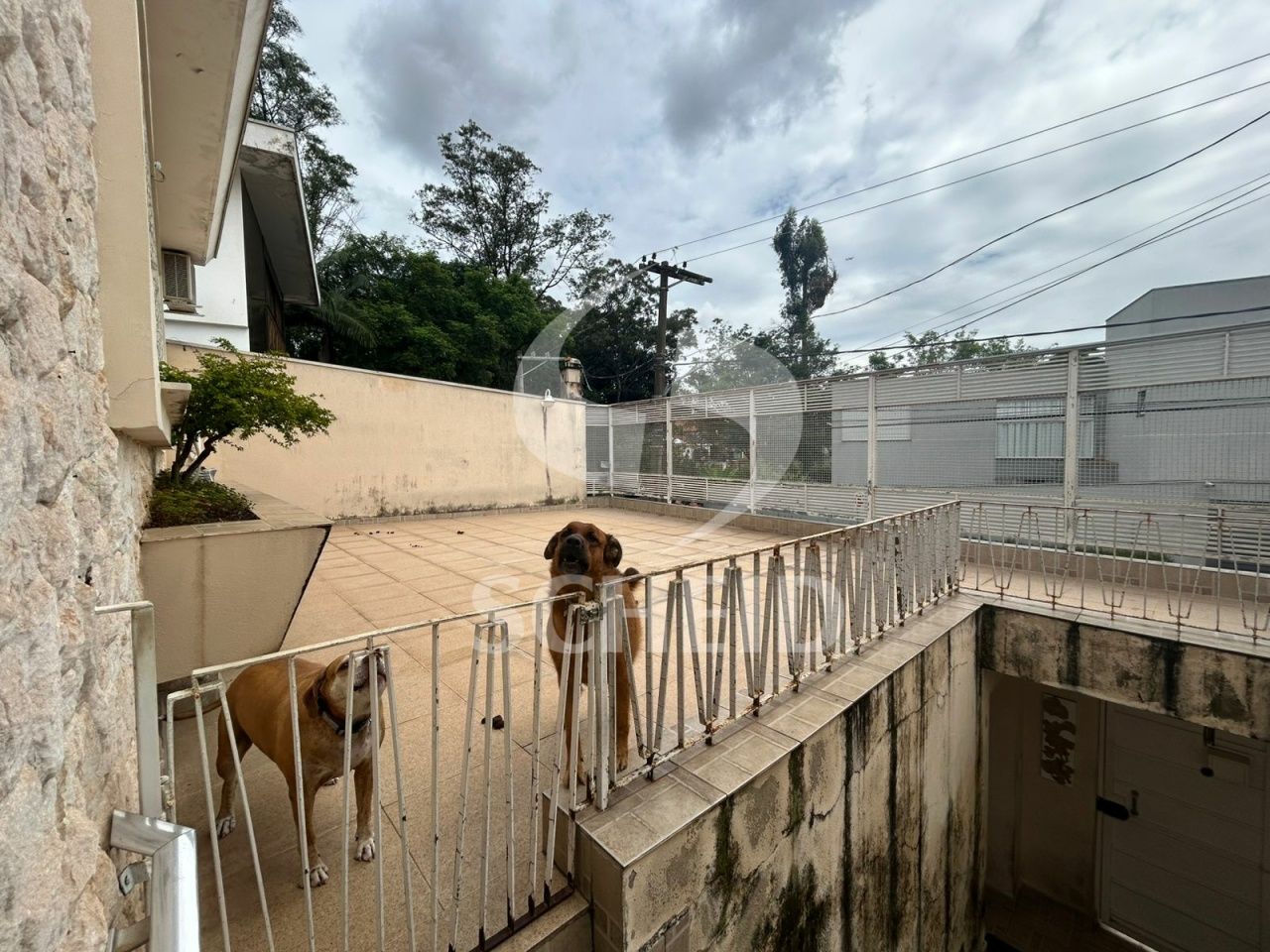 Foto 37