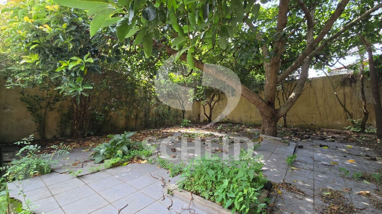 Foto 30