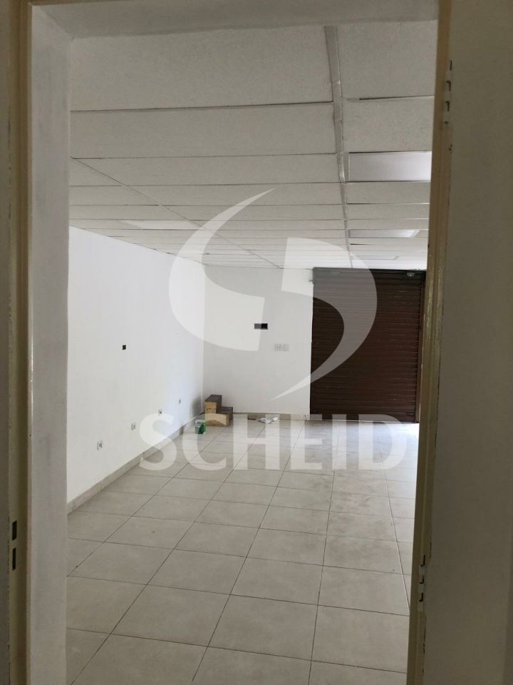 Foto 15