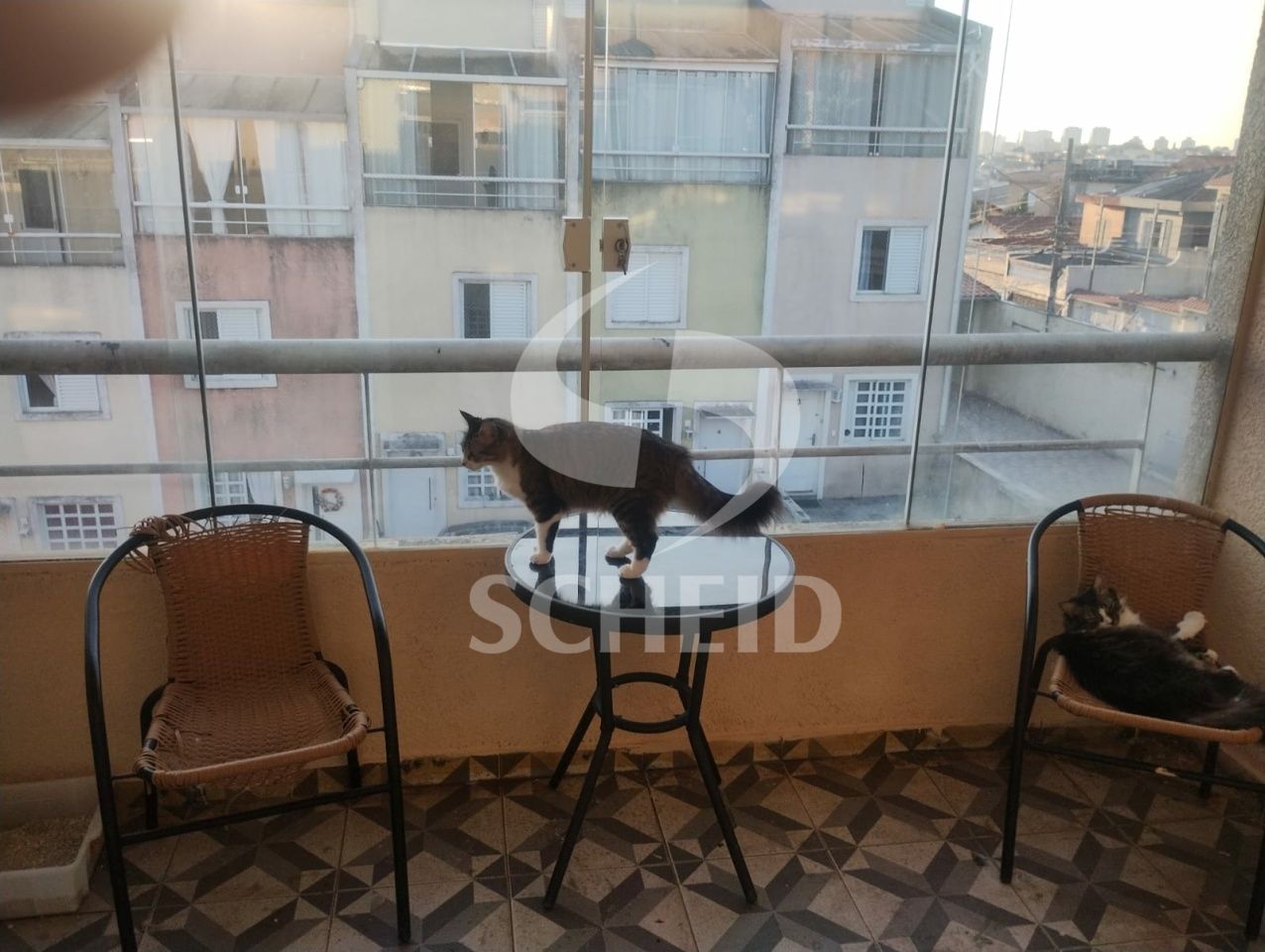 Foto 16