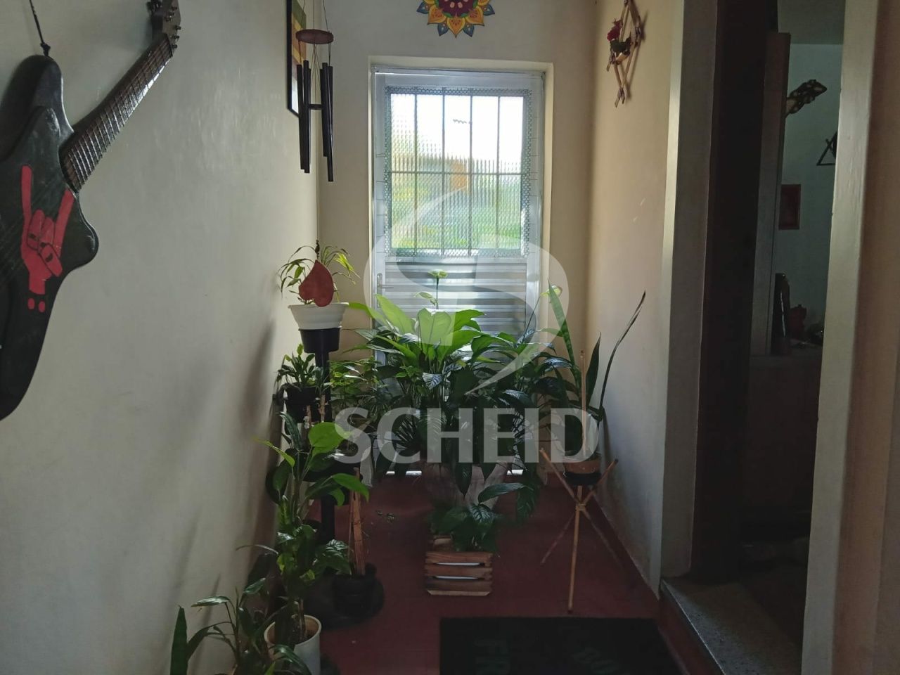 Foto 14