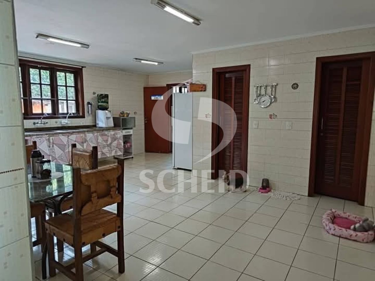 Foto 7