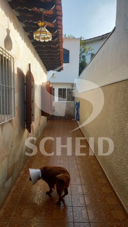Foto 20