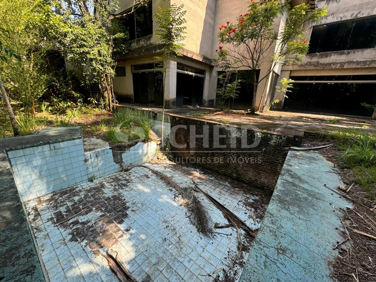 Foto 10