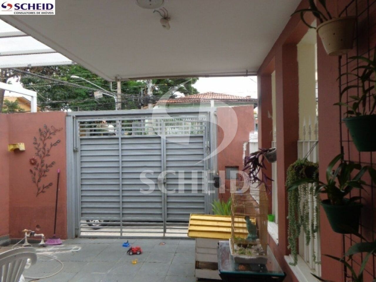 Foto 3
