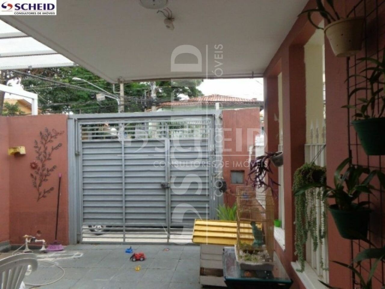 Foto 6