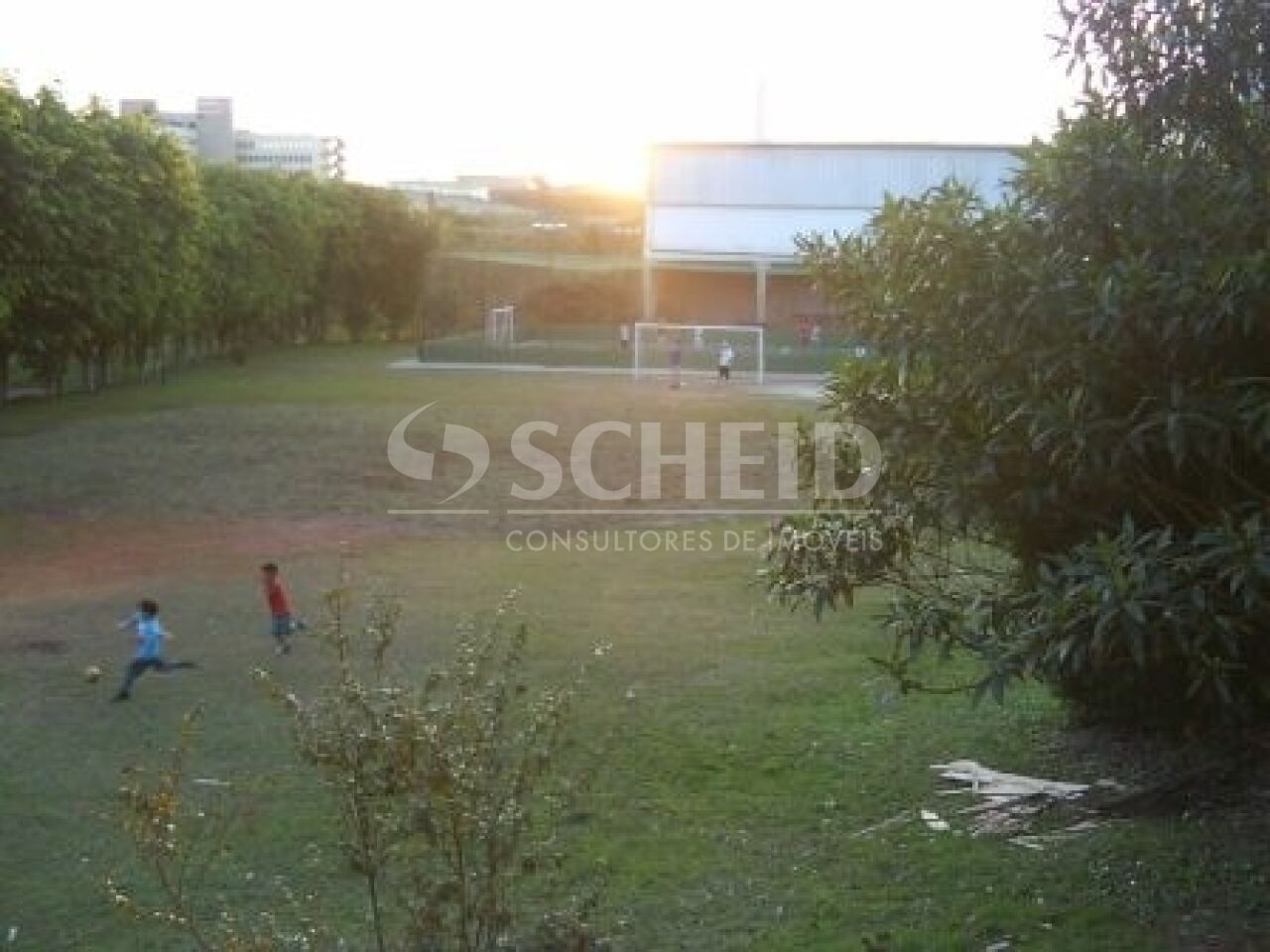 Foto 19