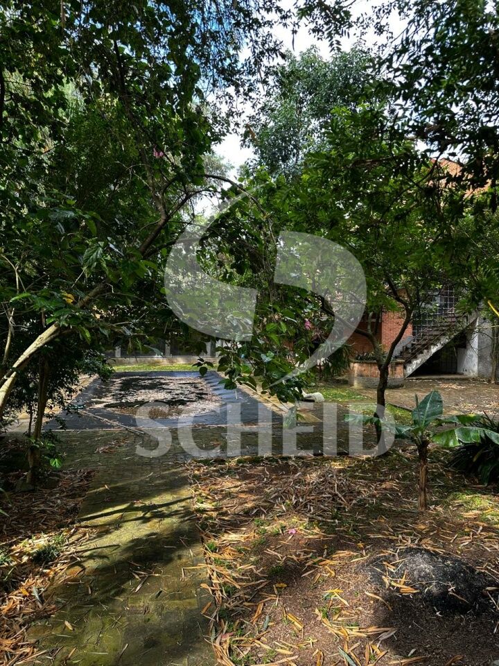Foto 46