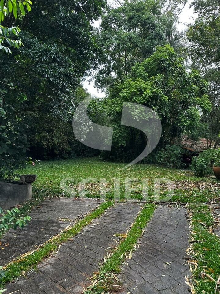 Foto 41