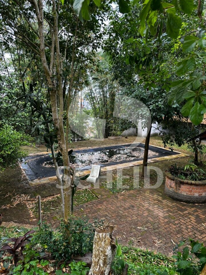 Foto 43