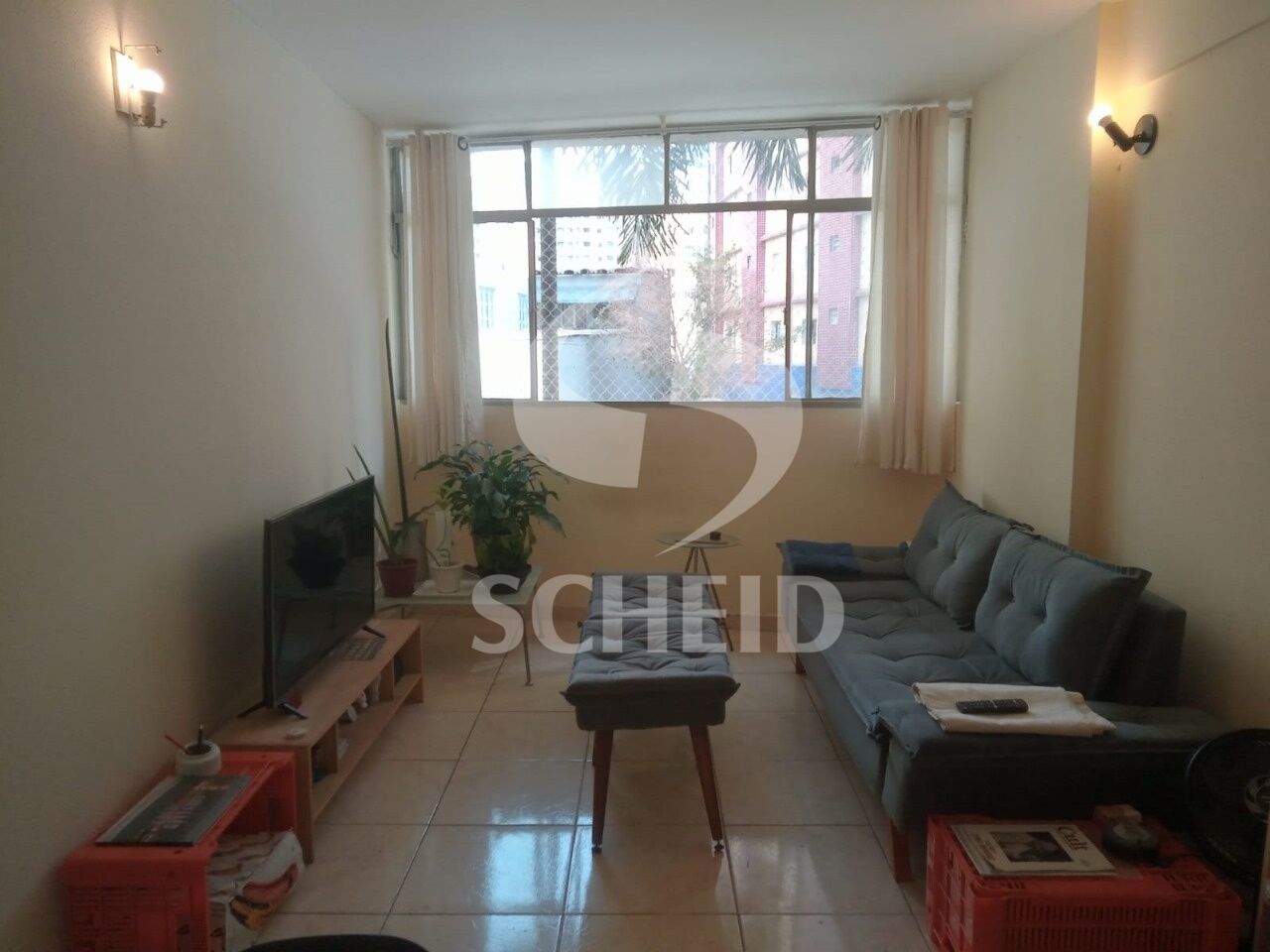 Foto 21