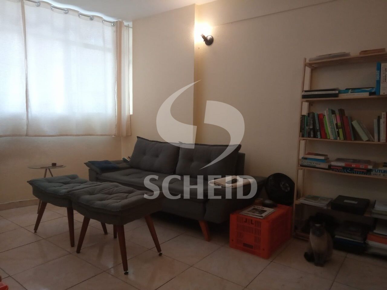Foto 31