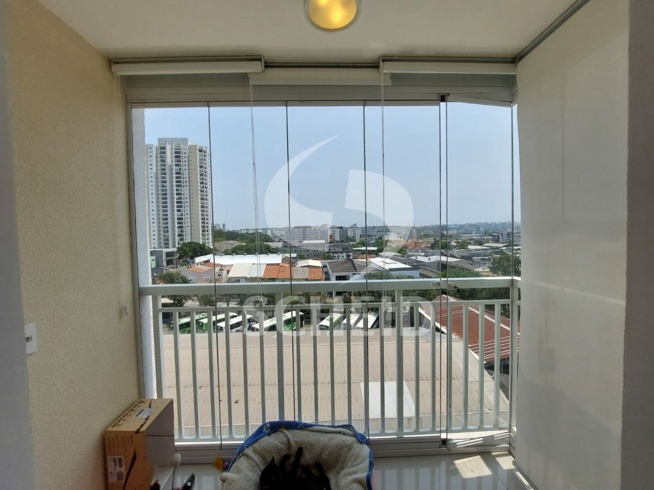 Foto 7