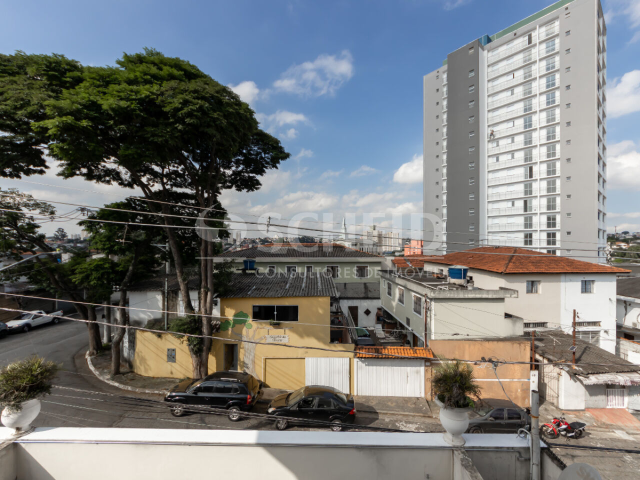 Foto 41