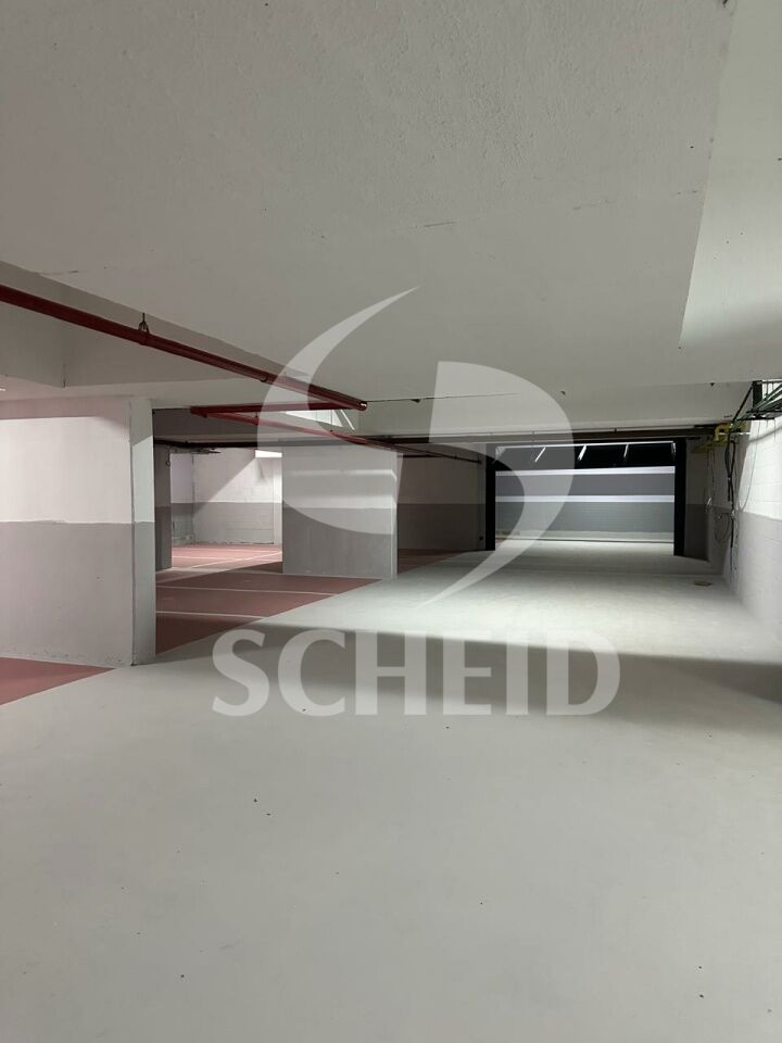 Foto 19