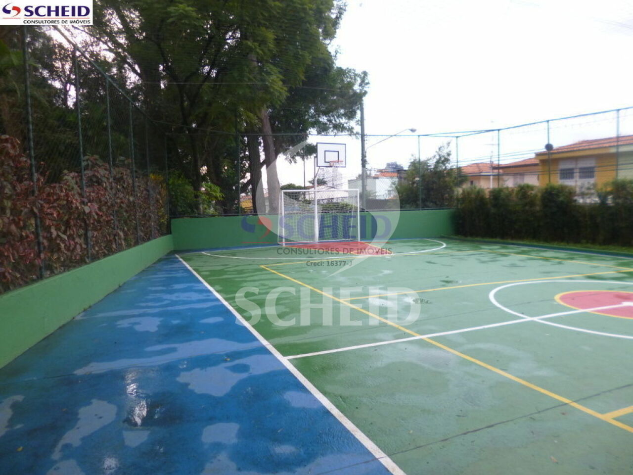 Foto 7
