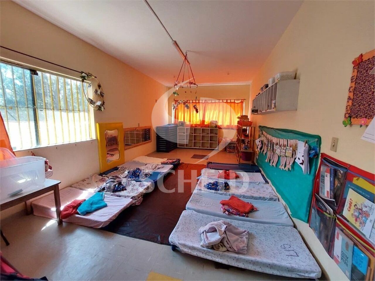 Foto 21