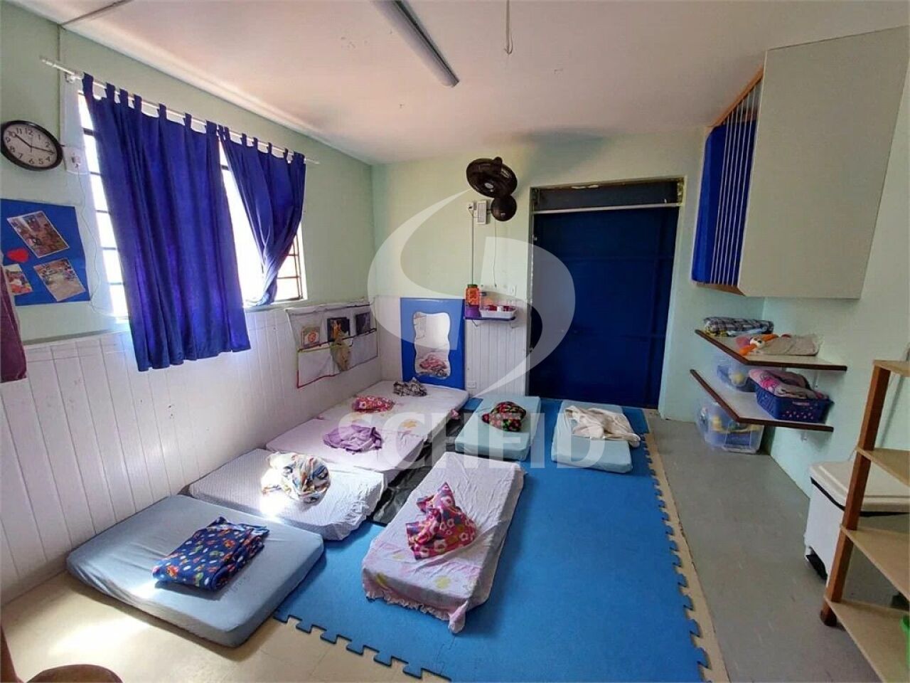 Foto 7