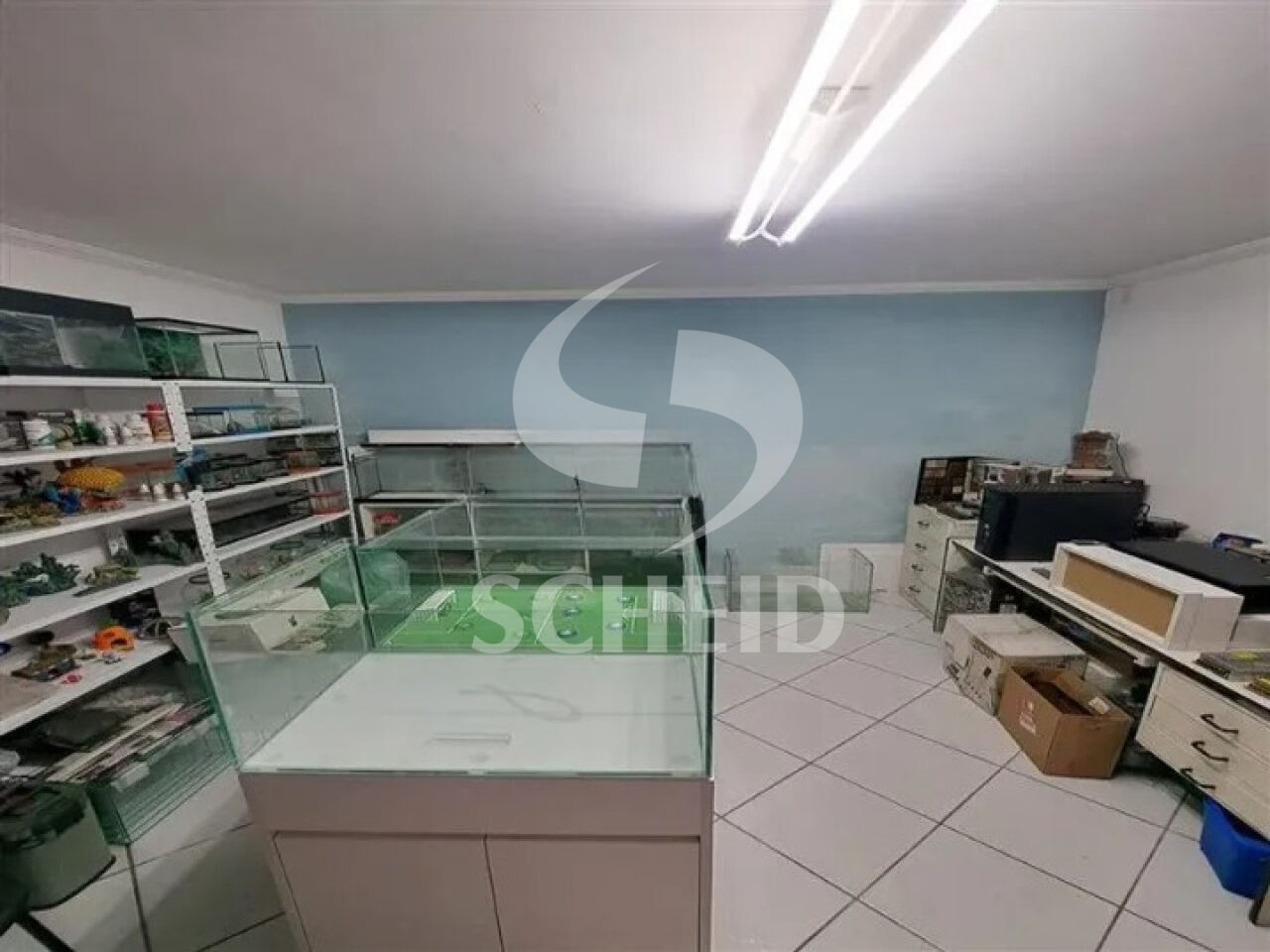 Foto 12