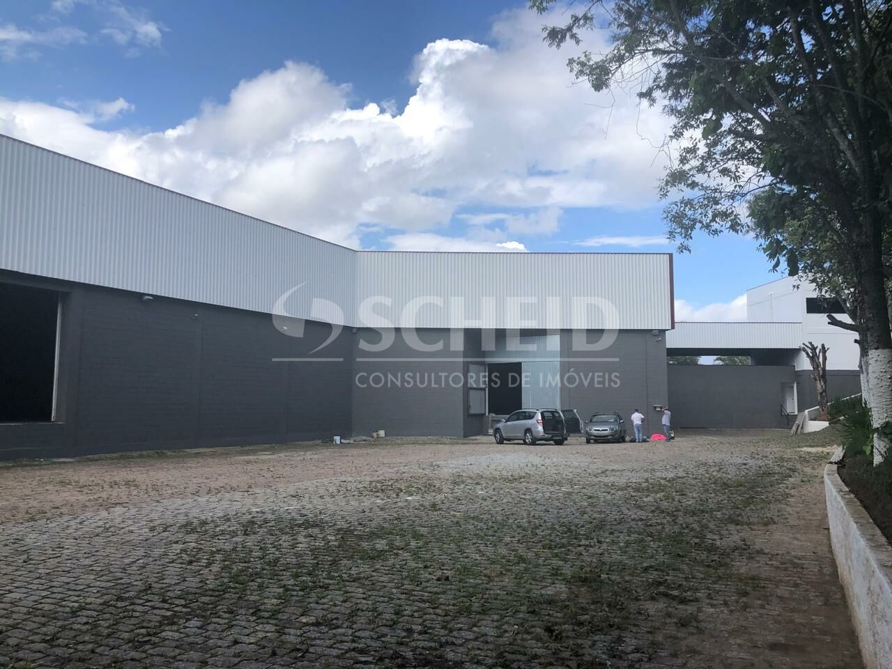 Foto 1