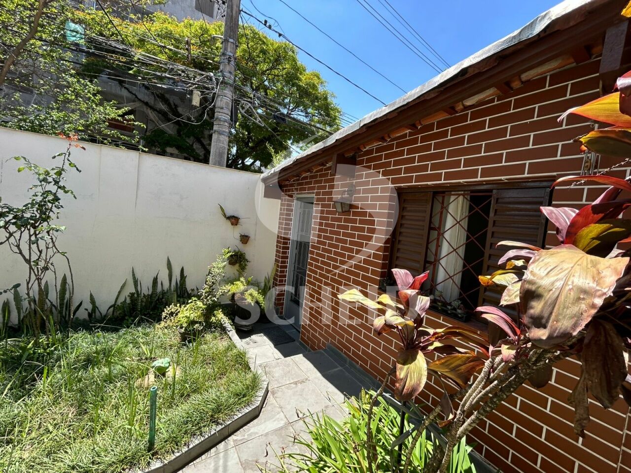 Foto 41