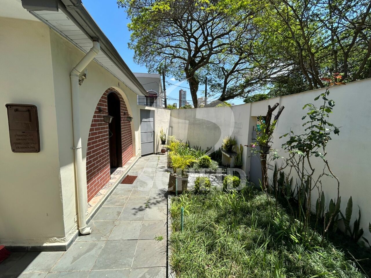 Foto 42