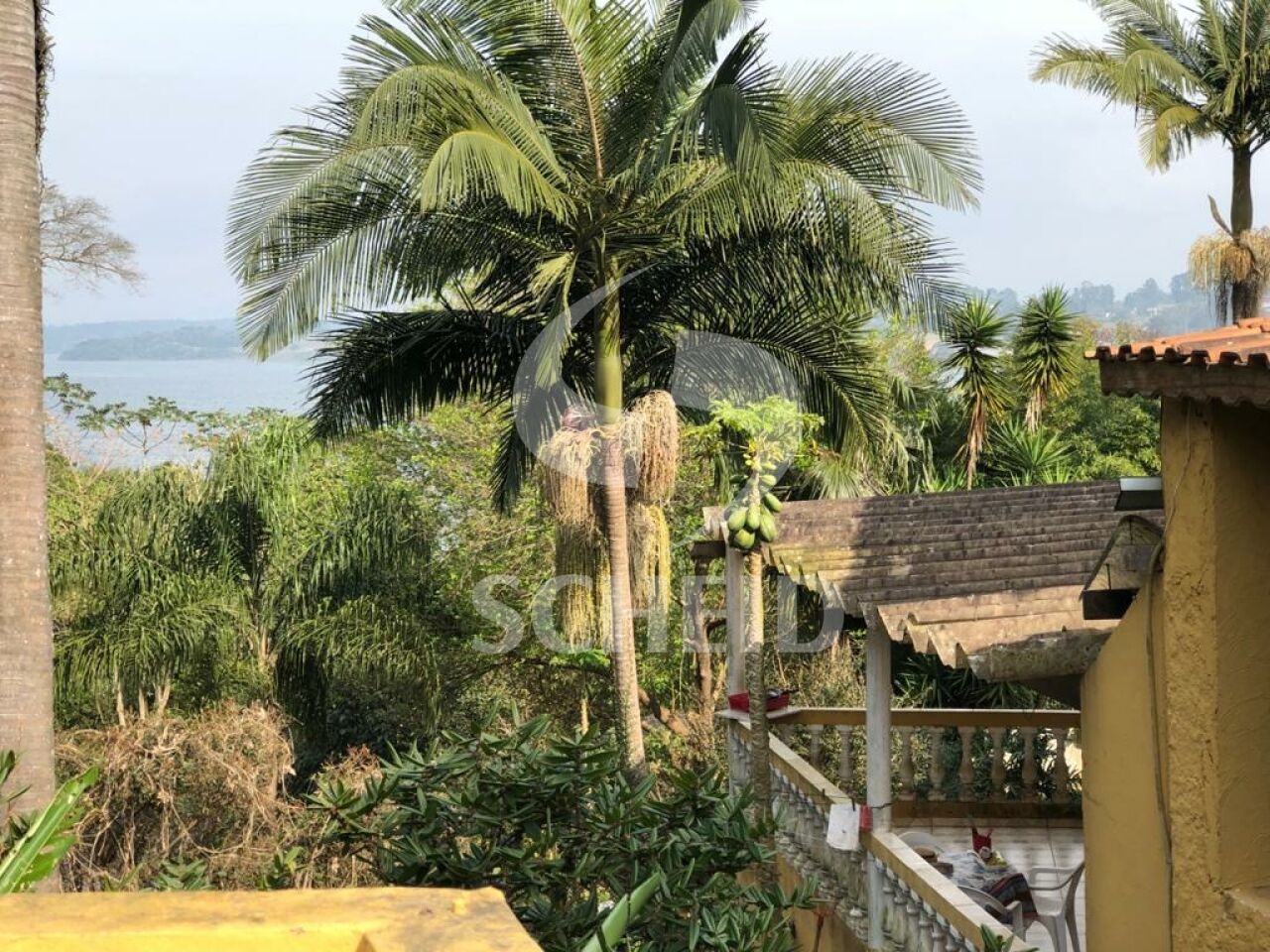 Foto 10