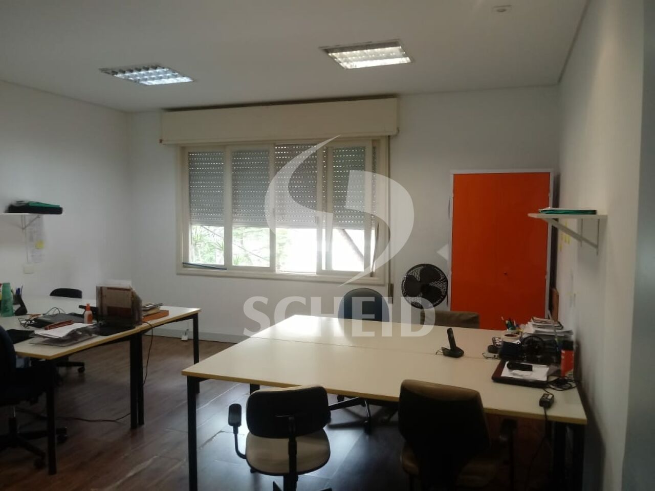 Foto 2