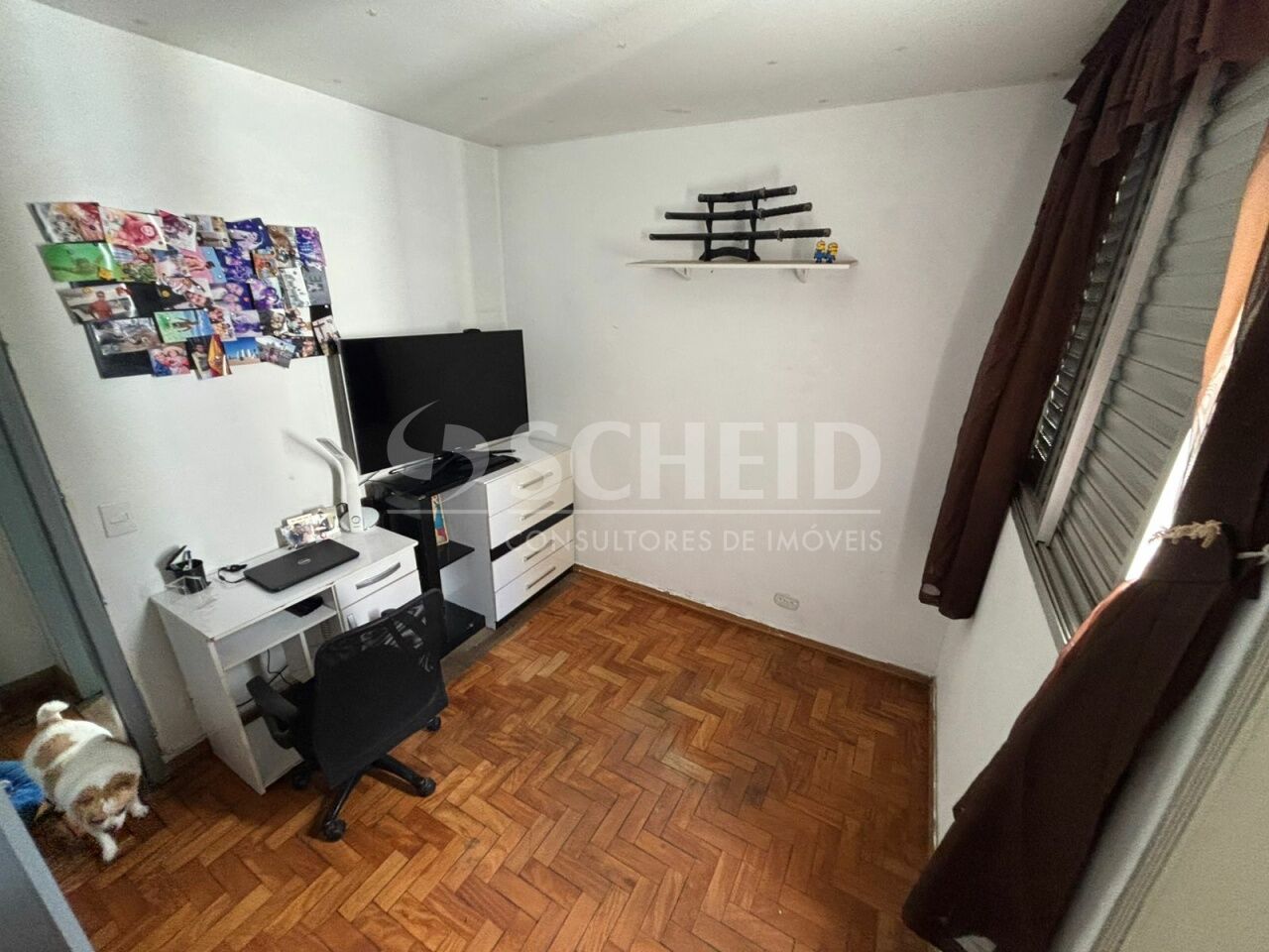 Foto 15
