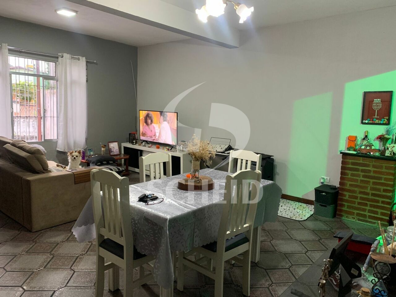 Foto 14