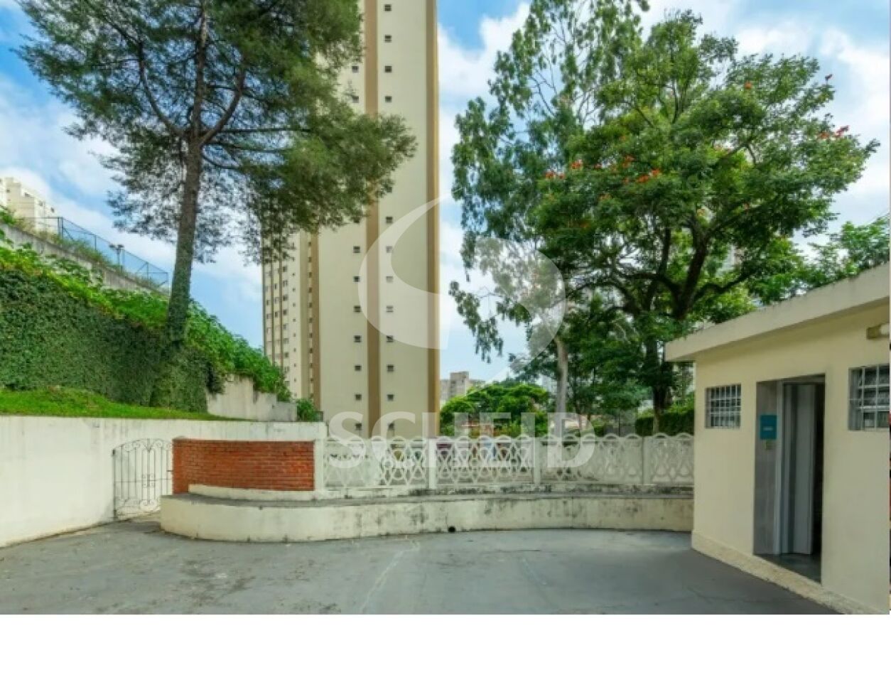 Foto 23