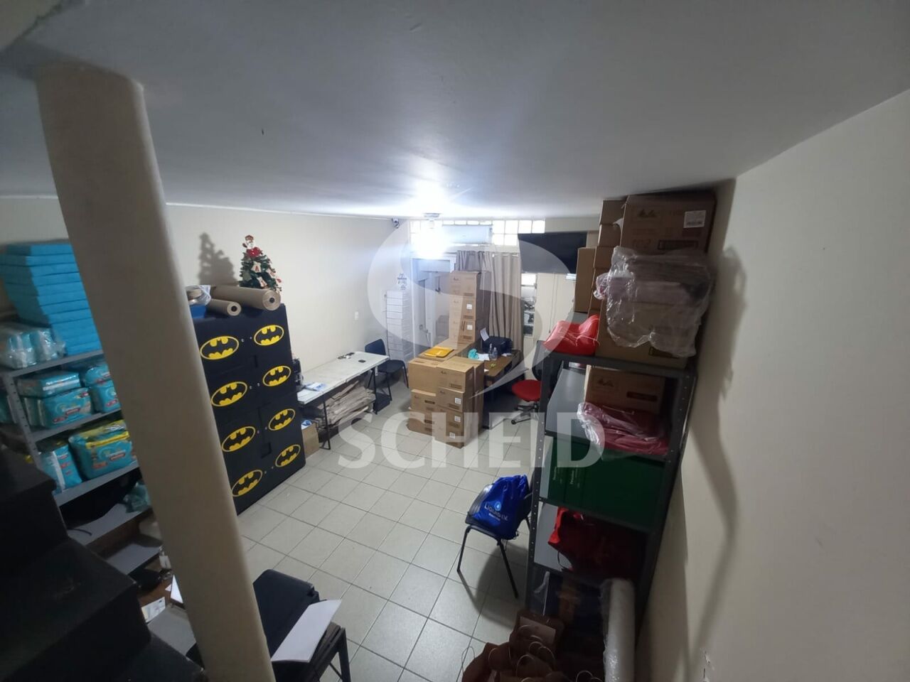 Foto 7