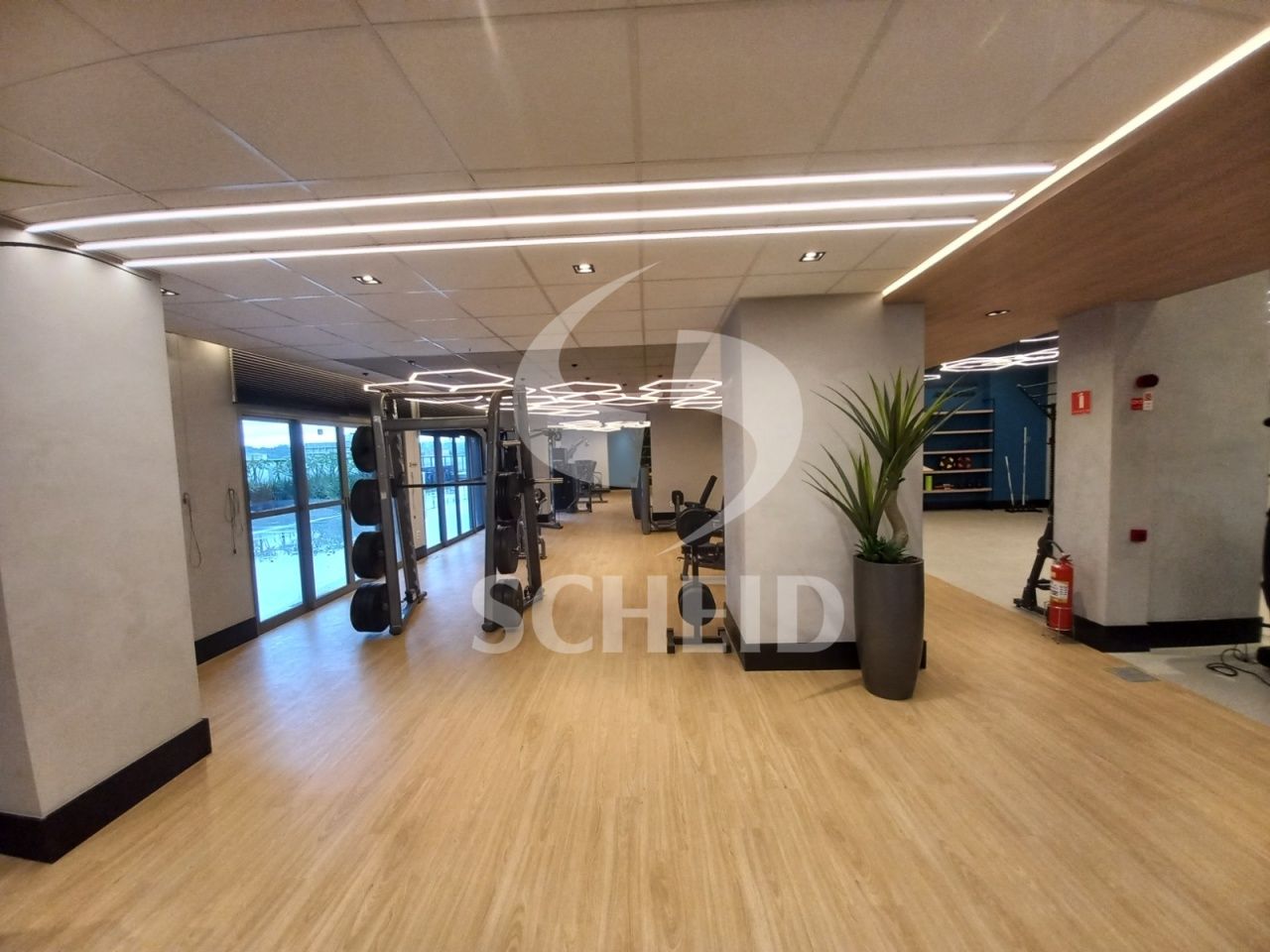 Foto 13