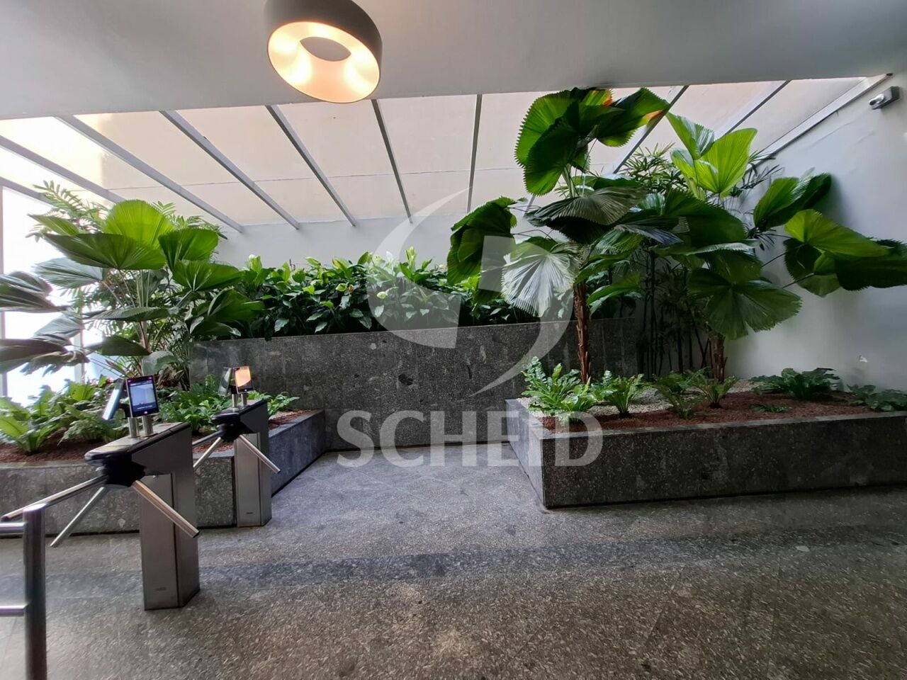 Foto 16