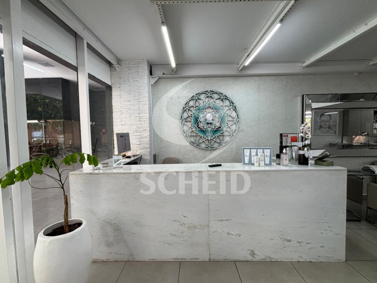 Foto 2