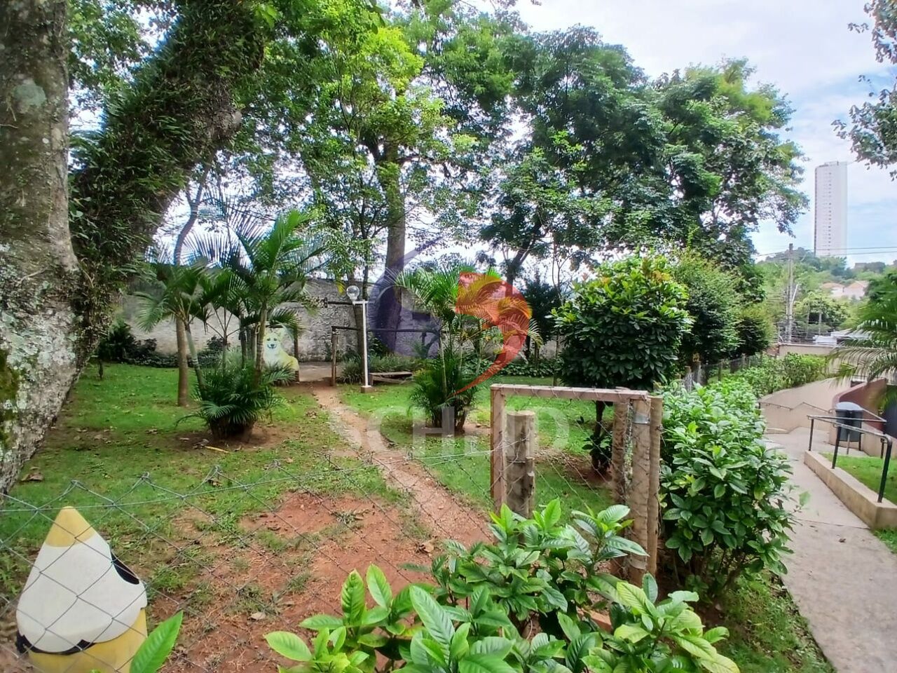 Foto 41