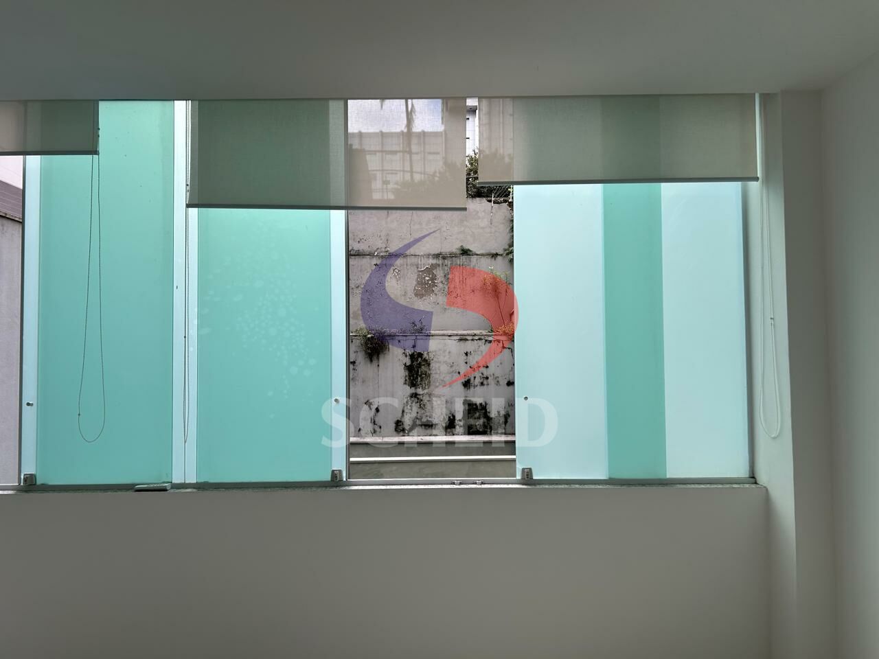 Foto 19