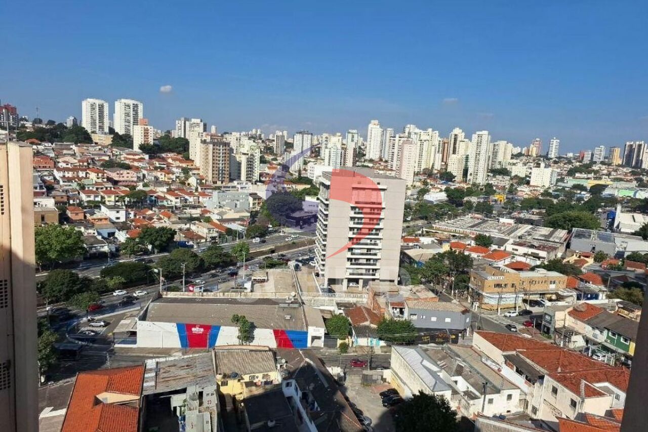 Foto 19