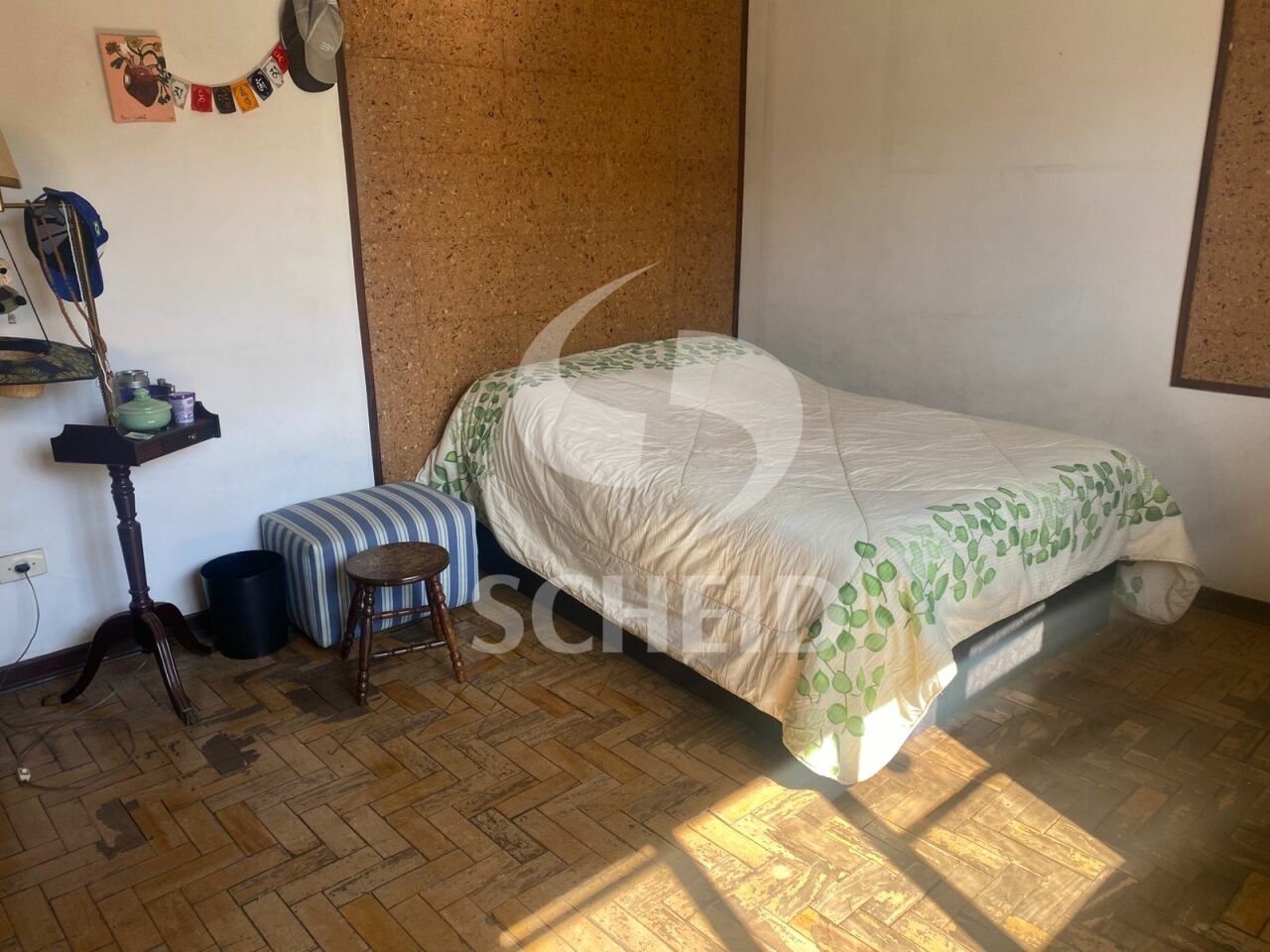 Foto 19