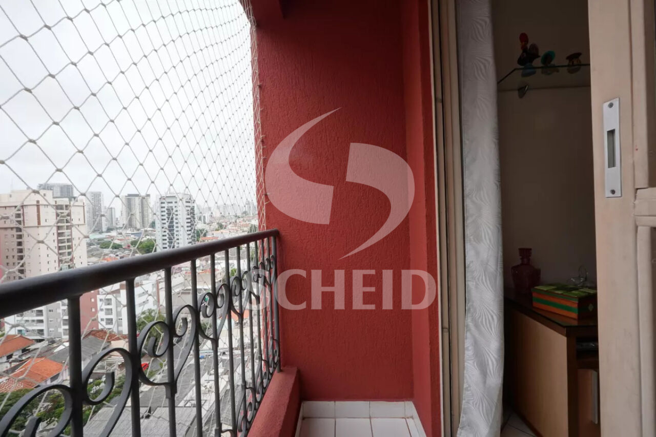 Foto 7
