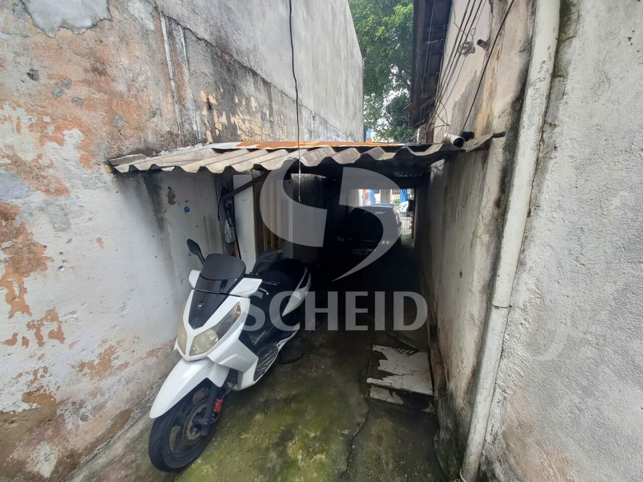 Foto 15