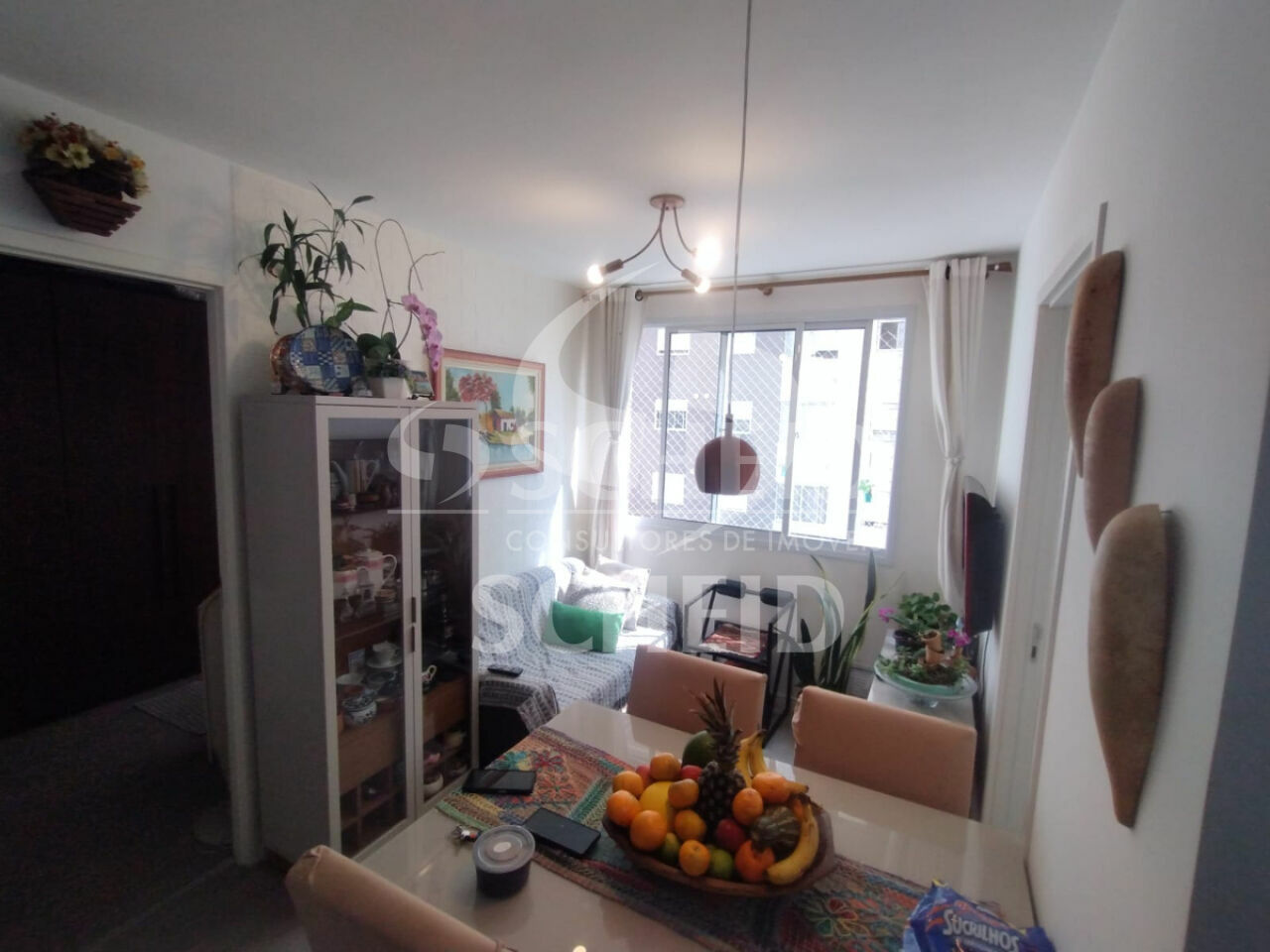 Foto 3