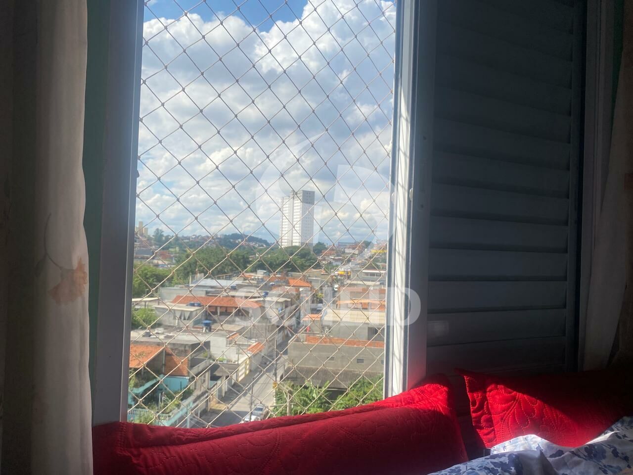Foto 11