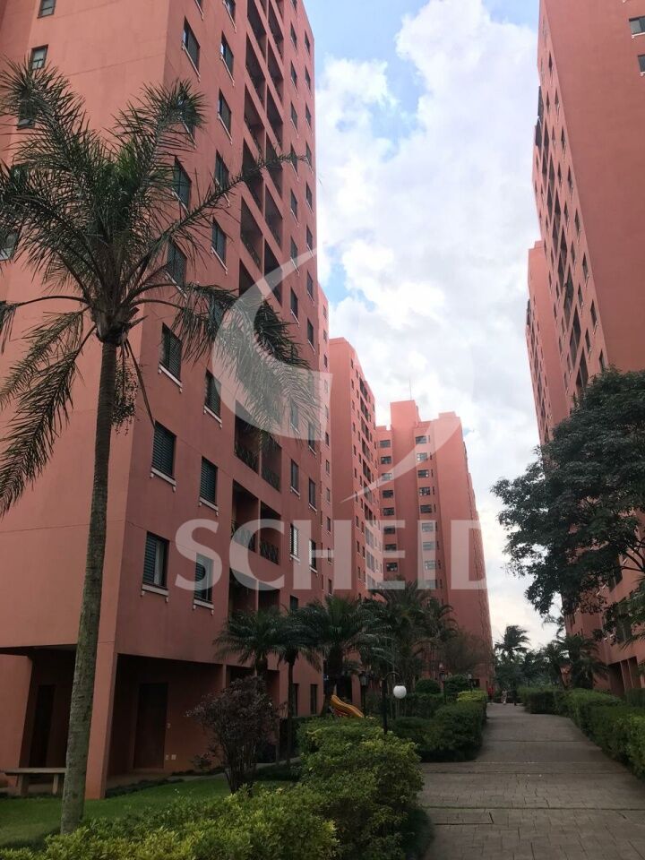 Foto 20