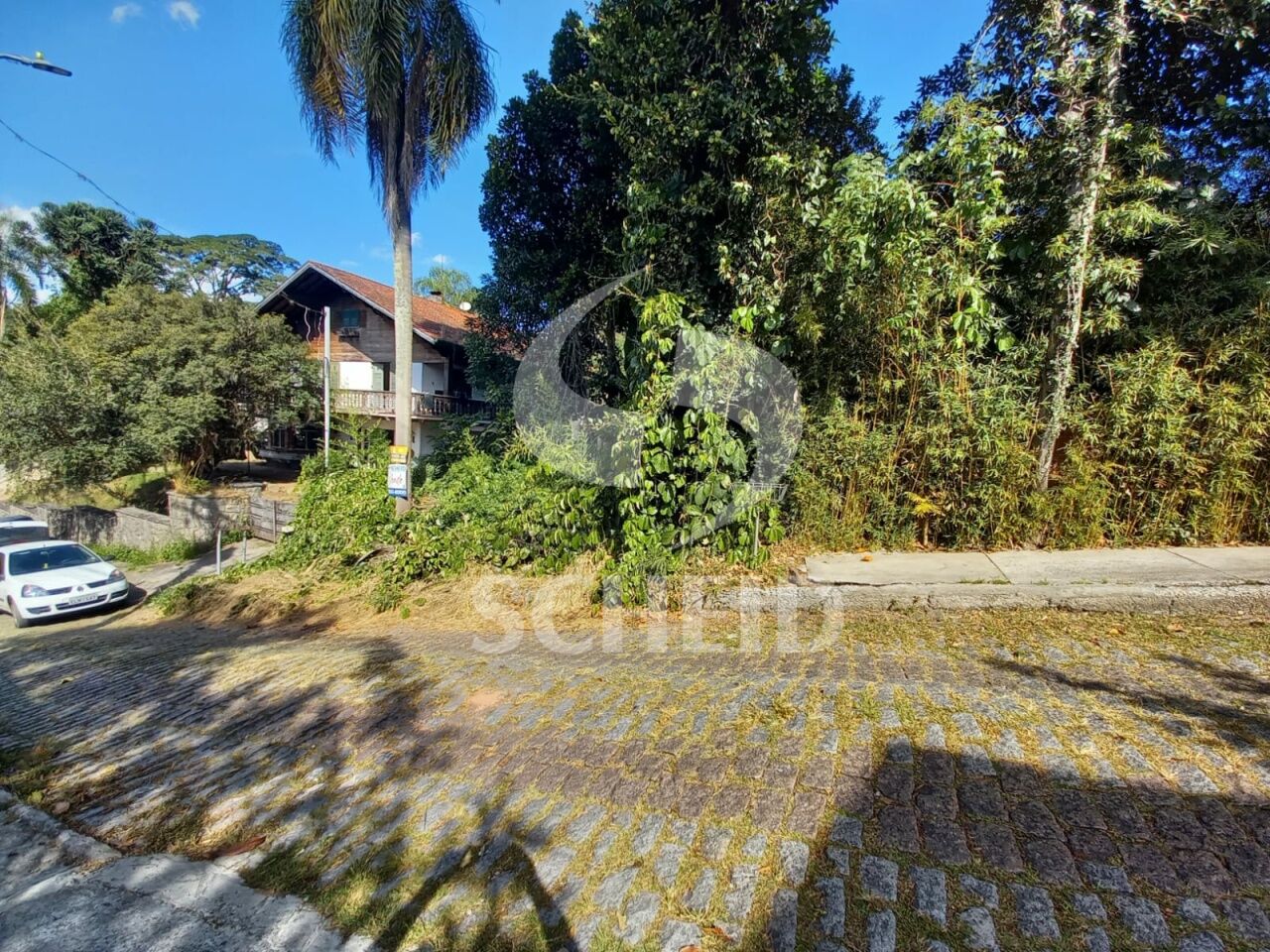 Foto 6