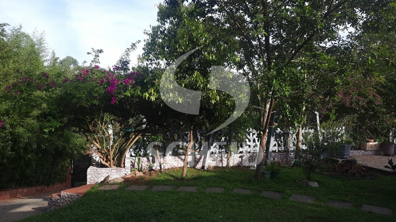 Foto 8